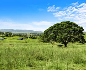 Rural / Farming commercial property for sale at 675 Pines Road Edenville NSW 2474