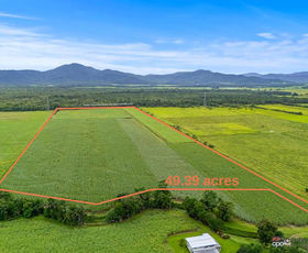 Rural / Farming commercial property for sale at 101 Bruce Highway Bellenden Ker QLD 4871