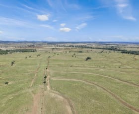 Rural / Farming commercial property for sale at 8681 Oxley Highway Gunnedah NSW 2380