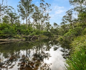 Rural / Farming commercial property for sale at 497 Northangera Road Braidwood NSW 2622