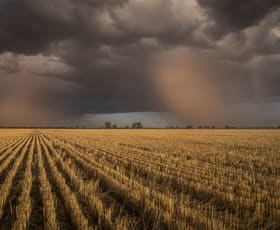 Rural / Farming commercial property for sale at 1048 Wyanga Road Narromine NSW 2821