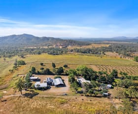 Rural / Farming commercial property for sale at 362 Springmount Road Mutchilba QLD 4872