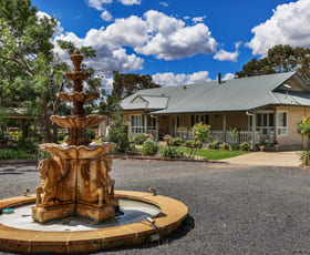 Rural / Farming commercial property for sale at 217-251 Spring Flat South Lane Mudgee NSW 2850 Rural / Farming commercial property for sale at 217-251 Spring Flat South Lane Mudgee NSW 2850