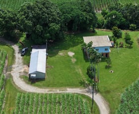 Rural / Farming commercial property for sale at 962 Abergowrie Road Trebonne QLD 4850