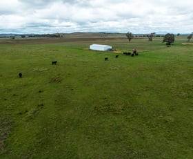 Rural / Farming commercial property for sale at 1706 Braidwood Road Tarago NSW 2580 Rural / Farming commercial property for sale at 1706 Braidwood Road Tarago NSW 2580