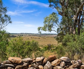 Rural / Farming commercial property for sale at 4530 Gore Highway Yarranlea QLD 4356