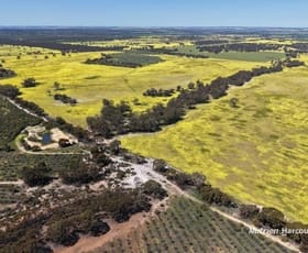 Rural / Farming commercial property for sale at 184 Ewert Road Morbinning WA 6304