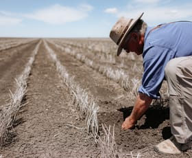 Rural / Farming commercial property for sale at 706 Kents Road Jimbour West QLD 4406