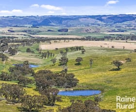 Rural / Farming commercial property for sale at 433 James Track Inman Valley SA 5211
