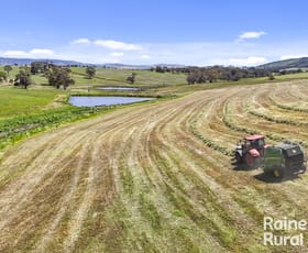 Rural / Farming commercial property for sale at 433 James Track Inman Valley SA 5211 Rural / Farming commercial property for sale at 433 James Track Inman Valley SA 5211