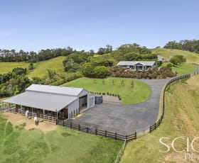 Rural / Farming commercial property for sale at 208 Cootharaba Road Cootharaba QLD 4565