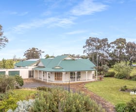 Rural / Farming commercial property for sale at 1365B Mingbool Road Mingbool SA 5291