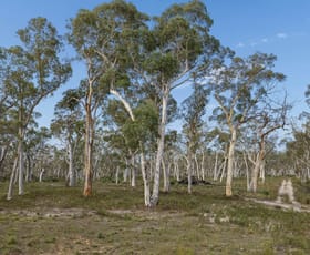 Rural / Farming commercial property for sale at 328 Wolgon Rd Windellama NSW 2580