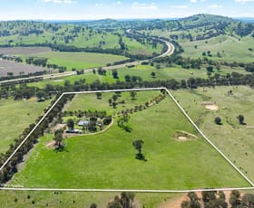 Rural / Farming commercial property for sale at 823 Woomargama Way Woomargama NSW 2644
