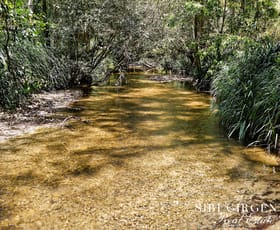 Rural / Farming commercial property for sale at 262/ Gilmore Road Mareeba QLD 4880