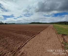 Rural / Farming commercial property for sale at 262/ Gilmore Road Mareeba QLD 4880