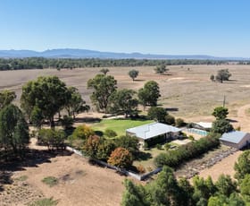 Rural / Farming commercial property for sale at 18258 Kamilaroi Highway Narrabri NSW 2390