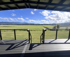 Rural / Farming commercial property for sale at Pinnacle QLD 4741