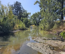 Rural / Farming commercial property for sale at 1568 Denman Road Denman NSW 2328