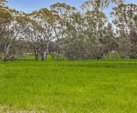 Rural / Farming commercial property sold at Lot 2 PS719922/441 Frenchmans - St Arnaud Road Barkly VIC 3384