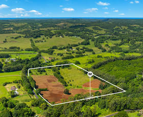 Rural / Farming commercial property for sale at 863 Eltham Road Booyong NSW 2480