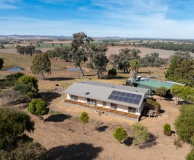 Rural / Farming commercial property for sale at 167 Cultowa Lane (Billimari) Canowindra NSW 2804