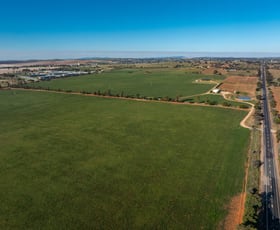 Rural / Farming commercial property for sale at 3685 Olympic Highway Junee NSW 2663