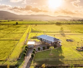 Rural / Farming commercial property for sale at 721-761 Yandina-Coolum Road Yandina Creek QLD 4561