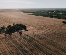Rural / Farming commercial property for sale at Stirlings, Pompies & Town Loxton SA 5333