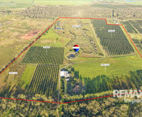 Rural / Farming commercial property for sale at 108 Bower Road Arriga QLD 4880