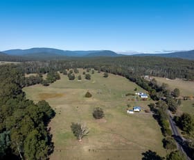 Rural / Farming commercial property for sale at 619 Marysville Road Narbethong VIC 3778