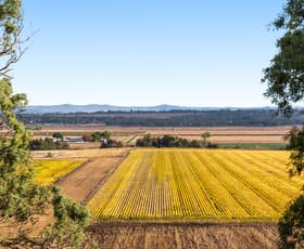 Rural / Farming commercial property for sale at Hillside Road Allora QLD 4362 Rural / Farming commercial property for sale at Hillside Road Allora QLD 4362