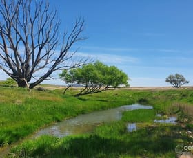 Rural / Farming commercial property sold at 1041 Euradux Road Braidwood NSW 2622 Rural / Farming commercial property sold at 1041 Euradux Road Braidwood NSW 2622