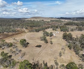 Rural / Farming commercial property for sale at 12798 Gwydir Highway Bald Nob NSW 2370