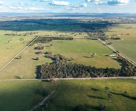 Rural / Farming commercial property for sale at 70 Stonehaven Road Holbrook NSW 2644