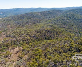 Rural / Farming commercial property for sale at 78, 4108 Tent Hill Road Emmaville NSW 2371