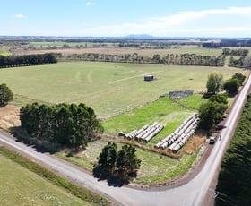 Rural / Farming commercial property for sale at Cobden-Terang Road Cobrico VIC 3266