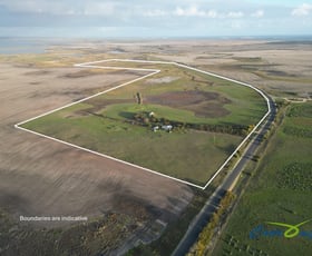 Rural / Farming commercial property for sale at 2226 Narrung Road Narrung SA 5259