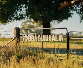 Rural / Farming commercial property for sale at 9 River Road Gobbagombalin NSW 2650 Rural / Farming commercial property for sale at 9 River Road Gobbagombalin NSW 2650