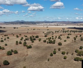 Rural / Farming commercial property for sale at 409 Bakers Lane Gunnedah NSW 2380