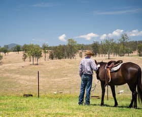 Rural / Farming commercial property sold at 236 Hayes Road Rosevale QLD 4340