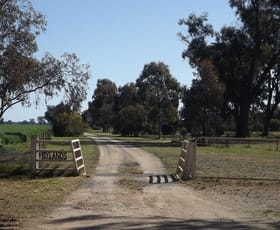 Rural / Farming commercial property sold at 1049 Bull Plain Road Mulwala NSW 2647