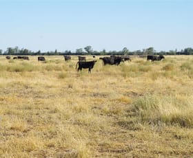 Rural / Farming commercial property sold at 4960 Pilliga Road Pilliga NSW 2388