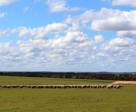 Rural / Farming commercial property sold at 1605 Carney Road Needilup WA 6336