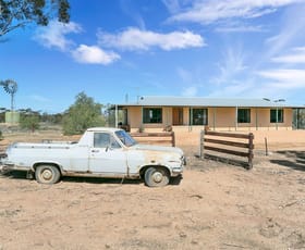 Rural / Farming commercial property sold at 200 Lake Short Road Blanchetown SA 5357