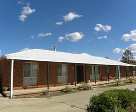 Rural / Farming commercial property sold at 359 Back Creek Road Young NSW 2594