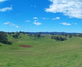 Rural / Farming commercial property sold at 250 Upper Cobargo Rd Bega NSW 2550