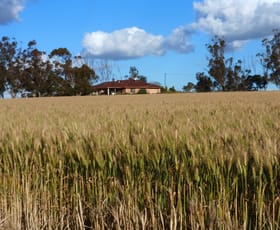 Rural / Farming commercial property sold at 2252 Northam-Pithara Rd Jennacubbine WA 6401