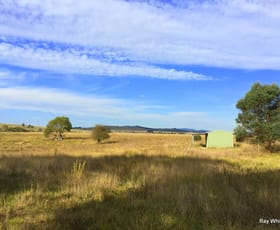Rural / Farming commercial property sold at 606 Bombay Road Braidwood NSW 2622