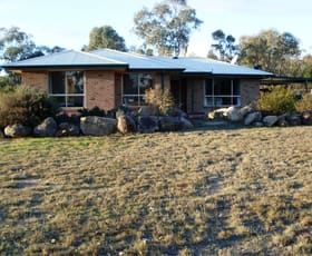 Rural / Farming commercial property sold at 1218b Wallangra Road Ashford NSW 2361